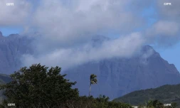 météo réunion 