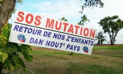 Mutation
