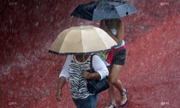 Pluie