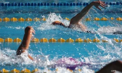 championnat de la réunion 2017