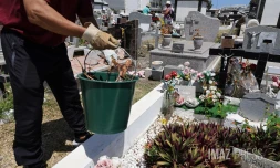 preparatifs de la toussaint au cimetiere 