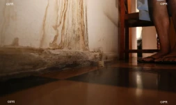 logement insalubre 