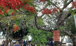 Rassemblement citoyen devant les arbres du bassin pirogue