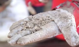 Photo fournie le 20 juin 2024 par l'autorité des antiquités d'Israël, montrant des débris découverts dans une épave datant de plus de 3.000 ans retrouvée en Méditerranée ( Israeli Antiquities Authority / - )