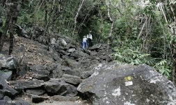 météo Réunion 