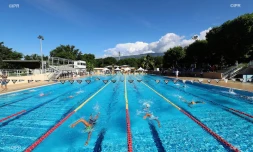 natation 