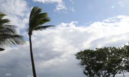 météo réunion 