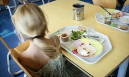 Huit mairies, dont Paris et Lyon, ont temporairement banni le thon des menus de leurs cantines scolaires pour "faire cesser l'exposition des enfants au mercure", un métal neurotoxique ( AFP / CLEMENT MAHOUDEAU )