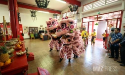 nouvel an chinois , annee du cheval de feu