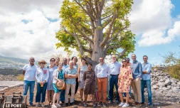 Rivière des Galets : visite de l'agence régionale de la biodiversité 
