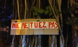 Abattage, Banian, Hermitage, Pétition, PAPI, TCO