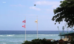 drapeaux baignade et surf plage des roches noires  