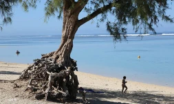 plage de l\'Ermitage