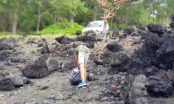 Ramassage déchets Piton Sainte Rose
