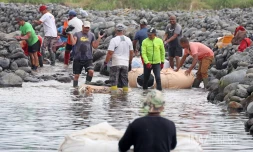 prépartion des canaux pour la pêche du bichique 