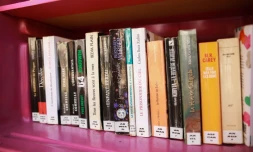 Boîtes à livres à Saint-Denis