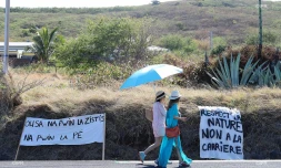 Chaêne huamine contre la carrière de Bois Blanc