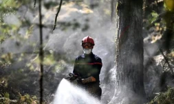 Un pompier asperge la végétation dans la forêt de Fontainebleau touchée par un incendie le 16 juillet 2026 ( AFP / LOU BENOIST )