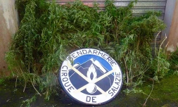 Zamal