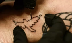 Scout Frank se fait tatouer une colombe par Kat Dukes avec de l'encre mélangée aux cendres funéraires de sa mère, le 6 octobre 2023 à Oceanside, en Californie ( AFP / Patrick T. Fallon )