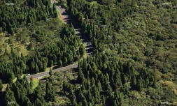 route du volcan 