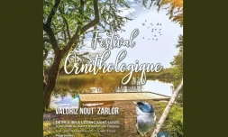 Festival ornithologique de Saint-Louis