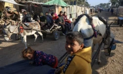 Des Gazaouis déplacés utilisent des charrettes tirées par des ânes comme moyen de transport à al-Zawayda, dans le centre de la bande de Gaza, le 20 novembre 2024 ( AFP / Bashar TALEB )