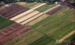 champ agriculture 