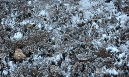 Hiver austral : i fé fré dann lé o La Rényon [?]