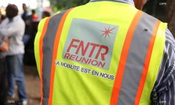 Transporteurs