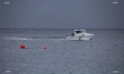 Attaque de requin au Port