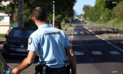 Gendarmes