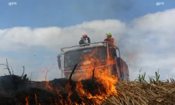 Feux (Photo archives Imaz Press Réunion)