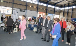 Plaine des Cafres 