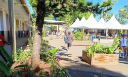 600 végétaux plantés dans la cour élémentaire de l’école de La Saline-Les-Bains