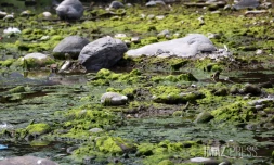 pecheur de la riviere de saint-denis