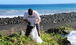 Le Port : opération nettoyage pour les collaborateurs du groupe Ravate 