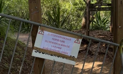 Entre-Deux : deux personnes chutent sur au Bras de la Plaine, le sentier fermé par sécurité