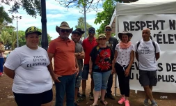 Filière bovine, bovins, viande, barbecue gratuit
