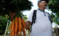 légumes 