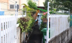 Les pompiers en action pour éradiquer la dengue