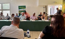 Casud conseil communautaire Mayotte