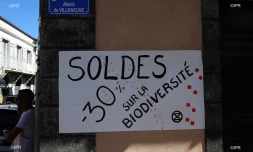 mouvement social écologiste Extinction Rebellion