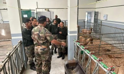  Le Régiment du service militairerelance sa filière agricole à Bourg-Murat