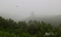 météo, brouillard