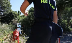 Vendredi 5 avril 2019 - opération de démoustication à la Ravine des Cabris