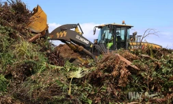 déchets vert Ileva au Port