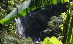 météo Réunion 