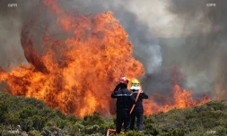 Incendie Maïdo 2020