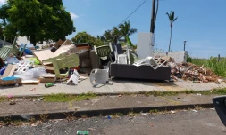 Association Brigade Verte